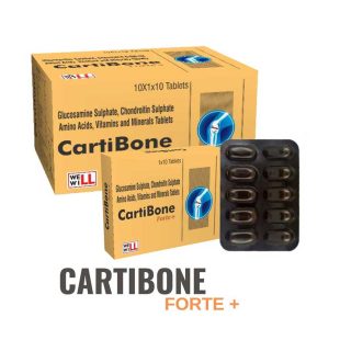 Cartibone Online