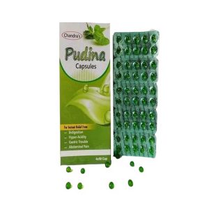 Buy Pudina