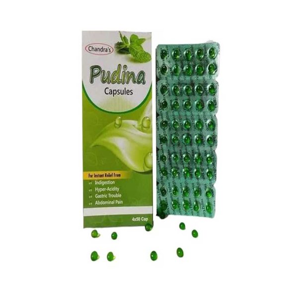 Buy Pudina