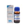 Teucrium Marum Verum Online